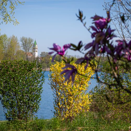 _DSC0977
